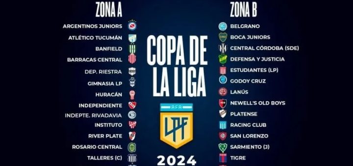copa liga profesional 2024