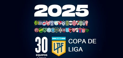 copa de liga 2025 torneo apertura